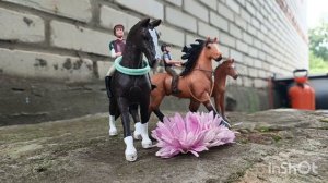 фотосессия лошадок 🐎🐴❤️💗💖💕
