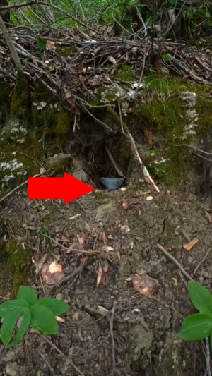 В Лесах страшный зверь прятался в норе лисицы, ужасное криповое существо смотрело на охотника