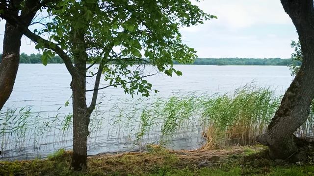 Кижи_2026