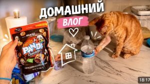 США ВЛОГ Домашний влог
