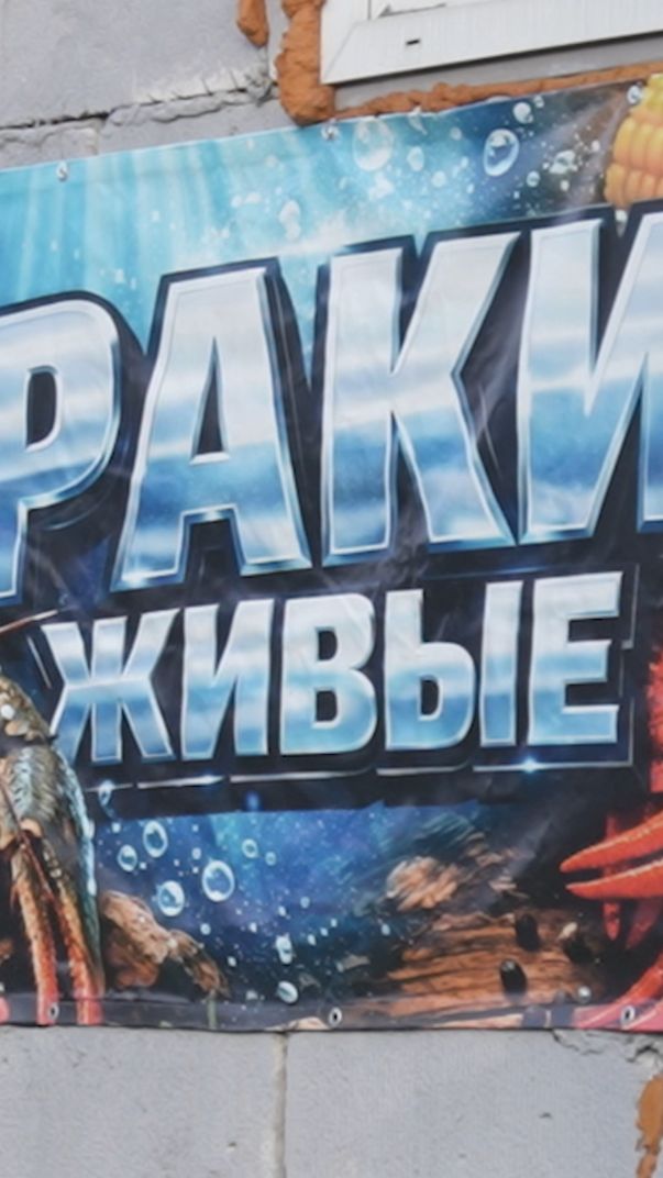 Подпольные бои раков-гладиаторов (чем мы заняты в деревне)