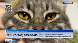Возьми питомца из приюта
