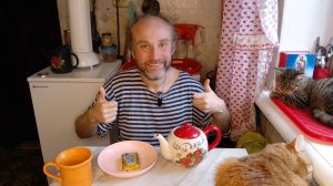 Перекус с котями. Спасибо за донаты. Отношение к алкоголю. Мукбанг. Обжор. Еда на камеру. Диета Шиза