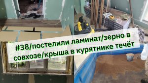 #38/постелили ламинат/зерно в совхозе/крыша в курятнике течёт/Купили дом в Краснодарском крае