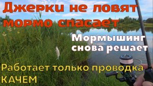 Мормышинг снова выручает, когда на джерки не клюёт. Анимация КАЧЕМ зарешала, первый раз такой эффект