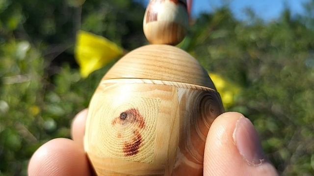 Шкатулка на энотере или ночной свече