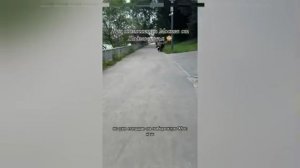💁♂️Девушка показала разницу между одной и той же набережной в Москве и Химках,их отделяет мост