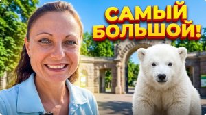 Самый большой зоопарк России/ШОК ОТ МАСШТАБОВ!/Милый медвежонок покорил нас!