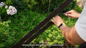 Дачные штучки-Выпуск 9 -«5 способов вплести заборную ленту в рабицу»