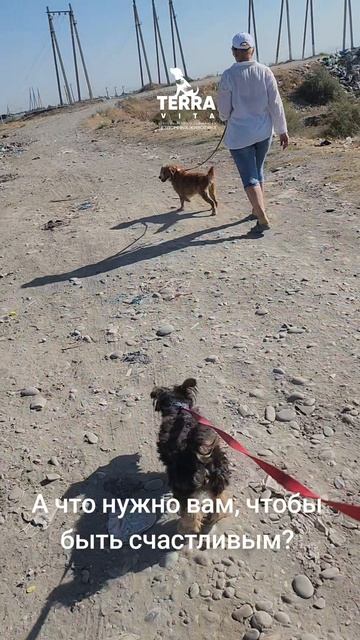 что для счастья нужно?