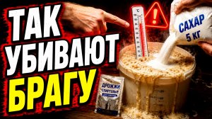 Главные ошибки новичков! ИДЕАЛЬНАЯ БРАГА - дрожжи, сахар или температура?