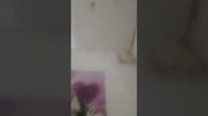 Я вернулась  Много нового🎧✨