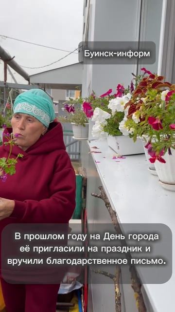 цветочный фейерверк