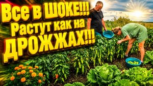 Дом в деревне | Деревенская жизнь | Переезд из города в деревню