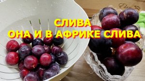 164. слывовое варэнье, компот из слив
