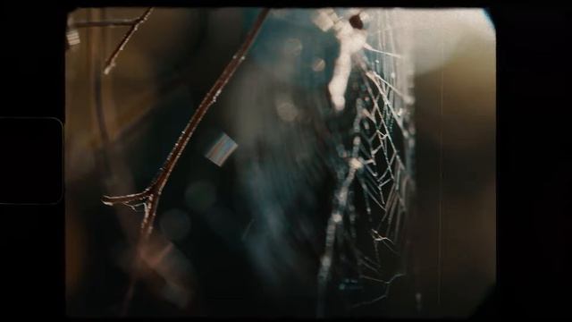 Midnight Cities, Neuhaus - Safe By Your Side (Official Lyric Video)
