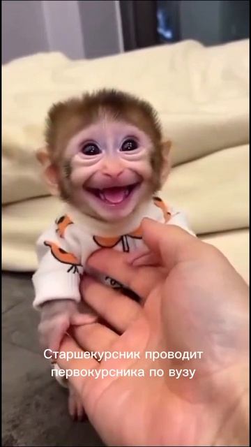 Не бойся, ты не потеряешься