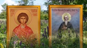 9 августа день Пантелеймона. Собранные в этот день ягоды и травы имеют особую целебную силу.