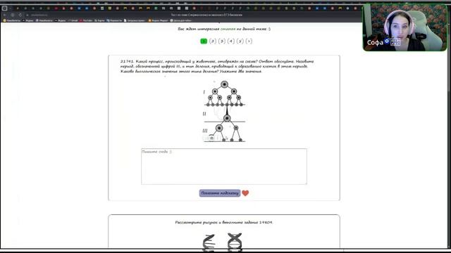 5421472320250841373