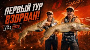 Первый тур взорван! Мы вторые, но идём за победой | PAL 2026
