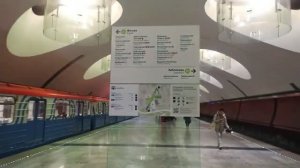 Станция метро Борисово интерьер, пассажиры, поезд Москва