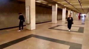 Станция метро Ботанический сад интерьер, пассажиры, поезда Москва