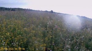 Открытие Смоленск 05.08.26