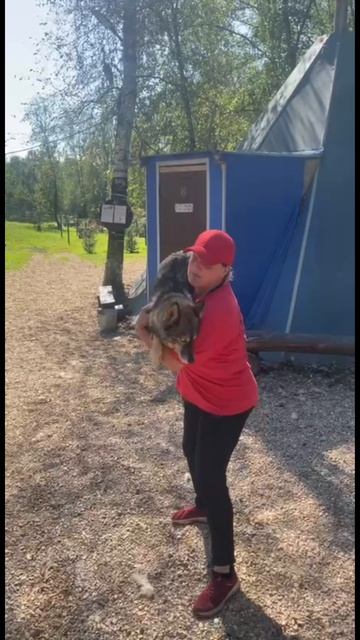 Dog)))