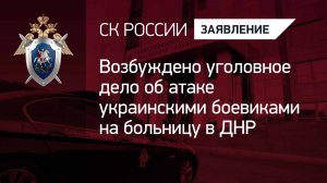 Возбуждено уголовное дело об атаке украинскими боевиками на больницу в ДНР
