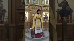 Память Почаевской иконы Божией Матери. О молитве и доверии Богу. Проповедь о. Вячеслава. 5.8.26