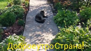 ✅️Что купила в Дачнике.