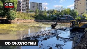 Очистку пруда проверили в Мытищах