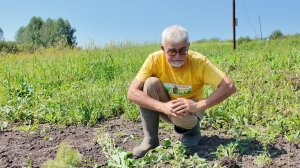 Вперед, товарищи! На дачу! Выпуск от 04.08.26
