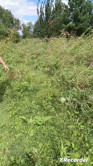 серял про сирена головава и бабку грени 2 серия