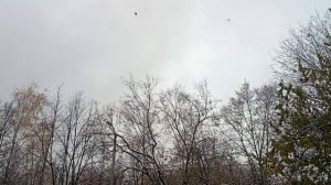 14 ноября 2024 года. Обстрел. Есть прилëты, два пострадавших.