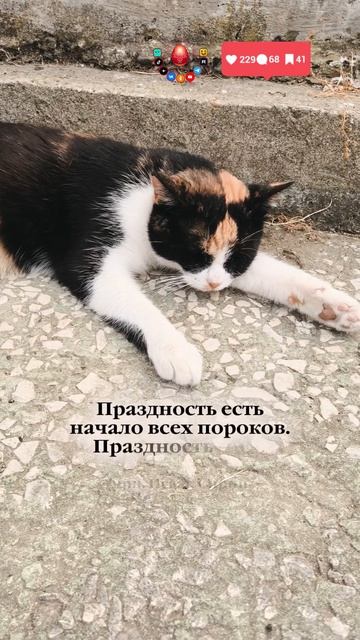 Праздность - это гибель...