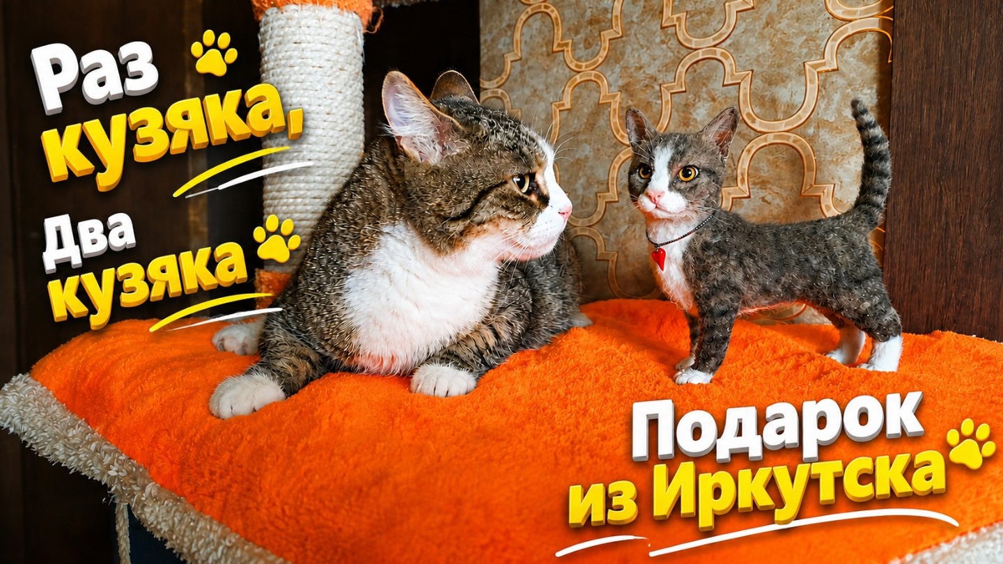 Раз Кузяка два Кузяка. Подарок из Иркутска.