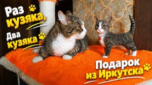 Раз Кузяка два Кузяка. Подарок из Иркутска.