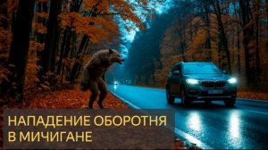 Нападение оборотня в Мичигане (Мистическая история)