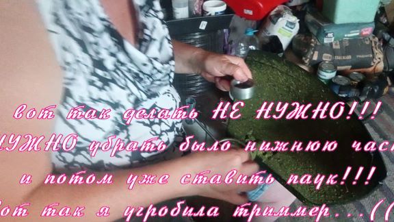 Поездка в соседнее село, как не нужно поступать с триммерами и ообо всём и не о чём)