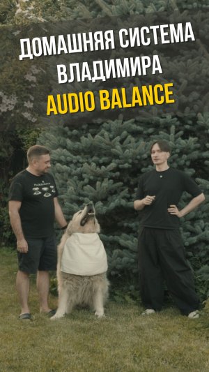 Домашняя система Владимира | Audio Balance