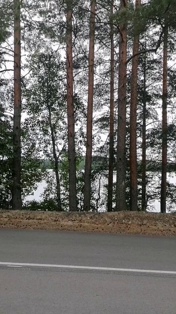 ПРЯЖА🌿