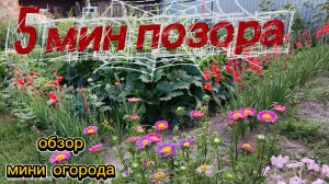 Минутки позора - обзора мини огорода