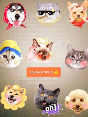 Если вы наберёте 10 лайков то я покажу лицо