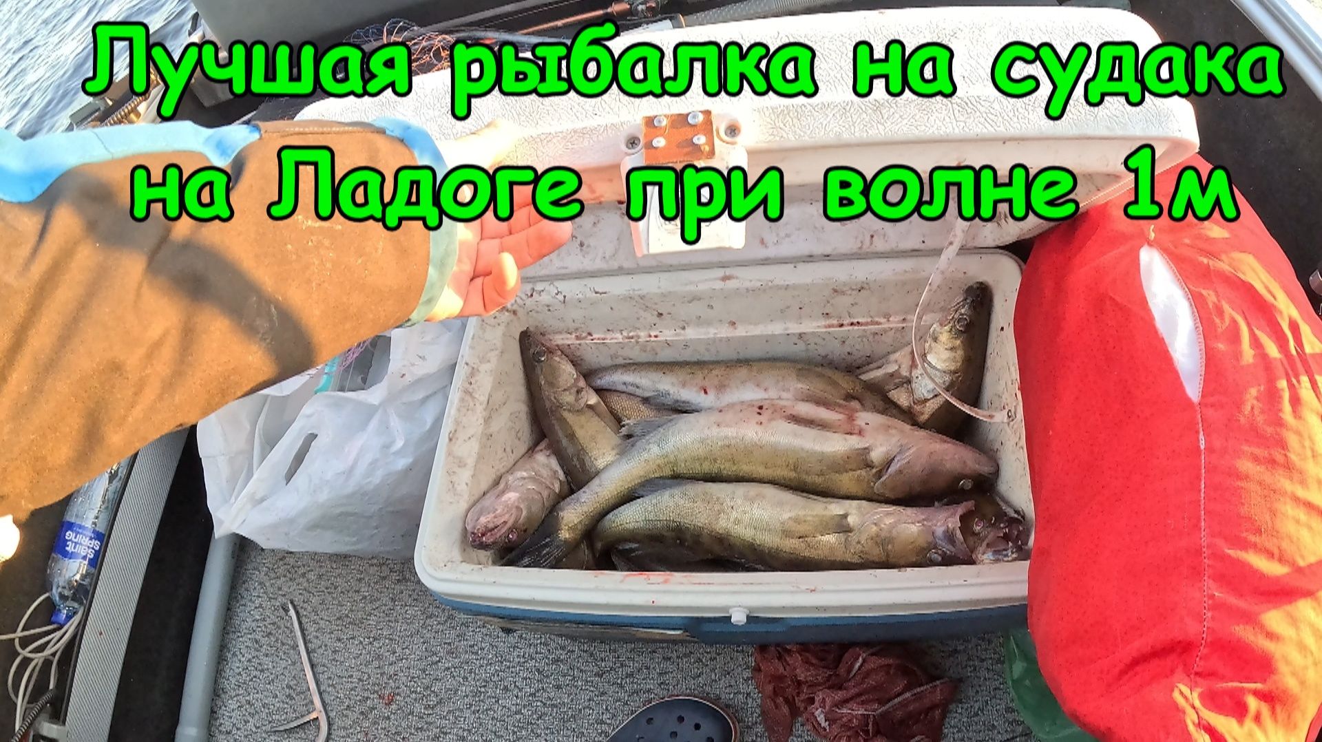 Лучшая рыбалка на судака на Ладоге при волне под 1м. Почти полный ящик судаков от 1.2 до 2.7кг