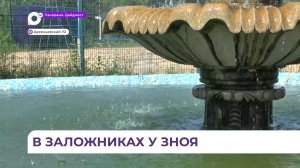 В Арсеньеве после обильных дождей и наводнений наступила аномальная жара
