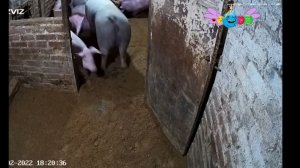 Взлом канала карусель на телевещании Буквария.