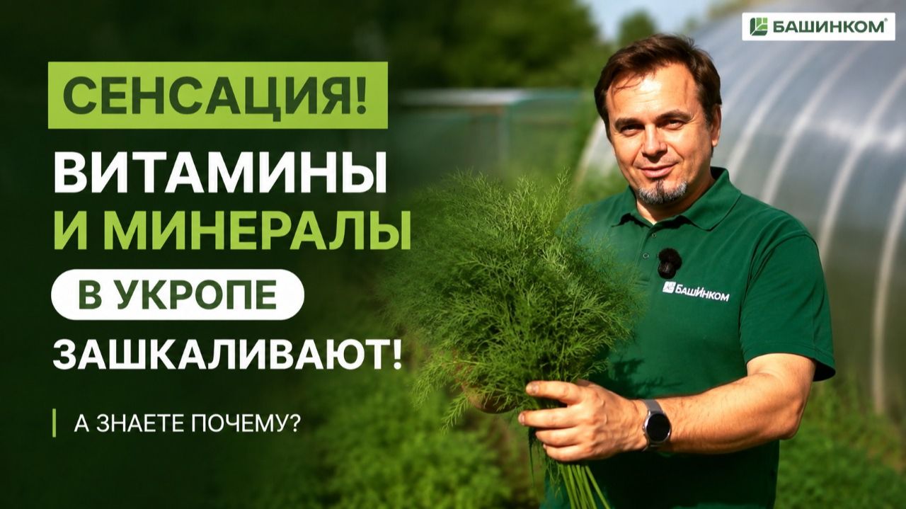 Удивительные 10 000 опытов