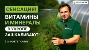 Ура! Укроп стал полезнее на 1004%! Смотрите видео