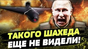 привет шахед